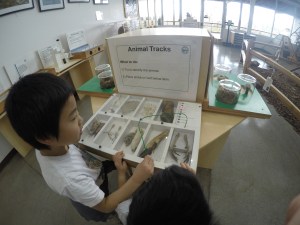 DCIM100GOPROGOPR1513.