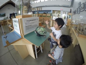 DCIM100GOPROGOPR1515.