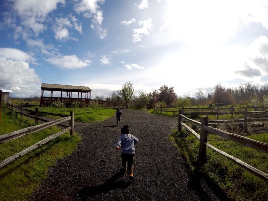 DCIM100GOPROGOPR1441.